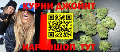 сатива Балахна