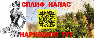 сатива Балахна