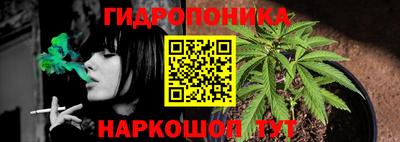 сатива Балахна