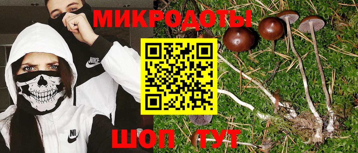 Городец  Псилоцибиновые грибы Cubensis  Вход с VPN 