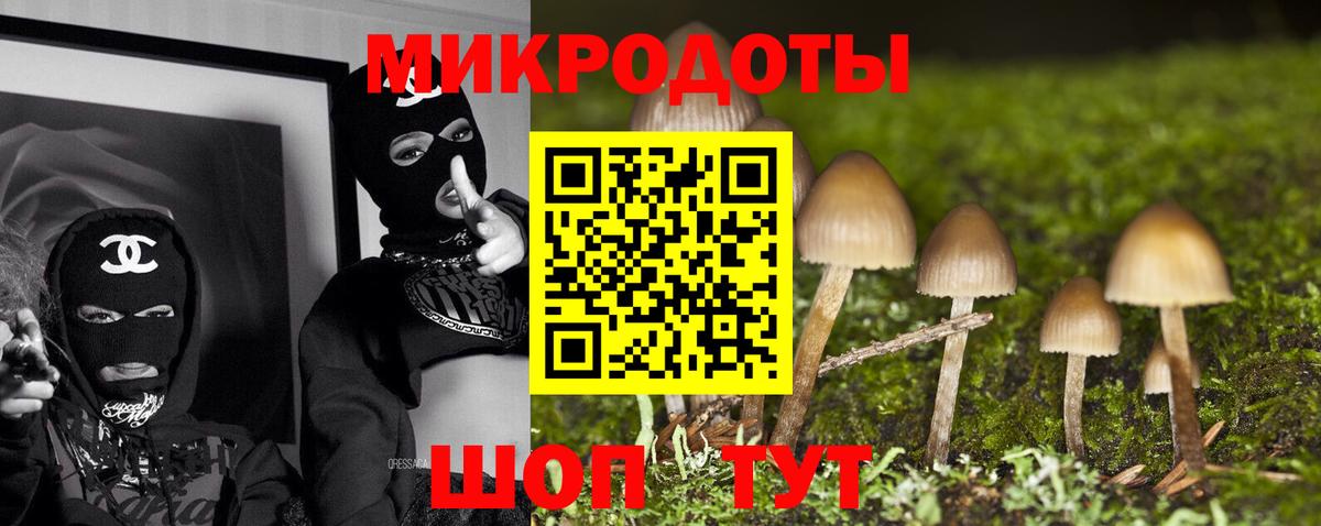 Псилоцибиновые грибы мухоморы Городец